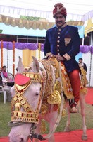 Sunil Photo Gallery